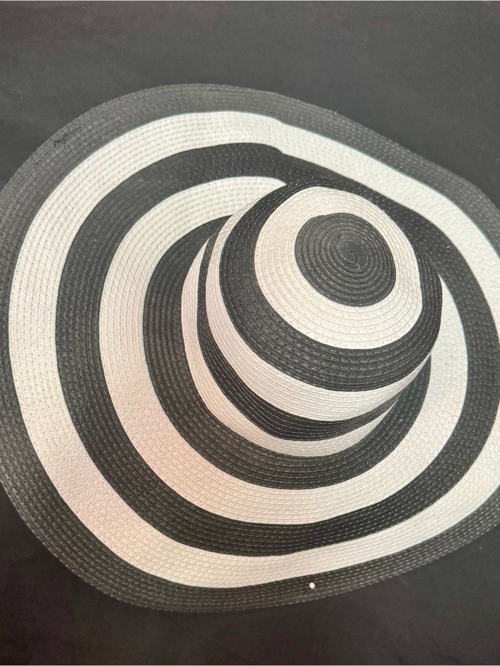 Shade & Shore Black and White Striped Braided Placemat